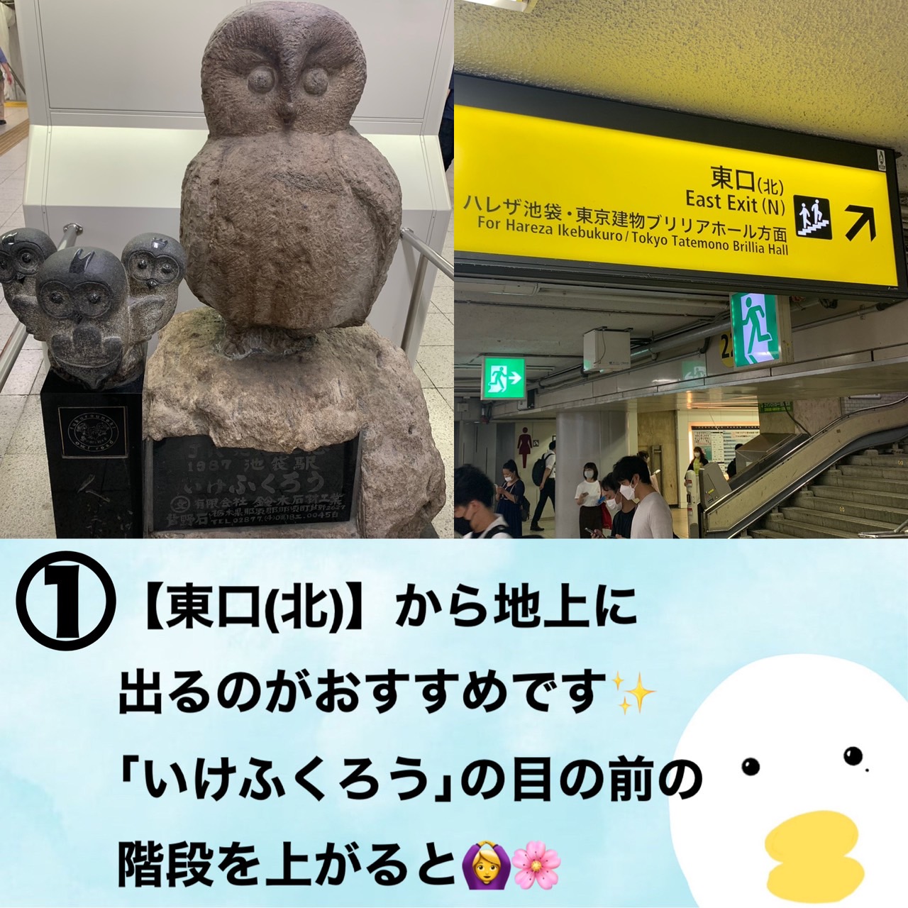 池袋駅からの道案内
